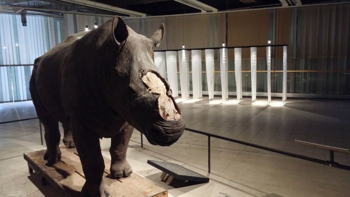 GB58, Fragil, samedi 10 octobre 2015