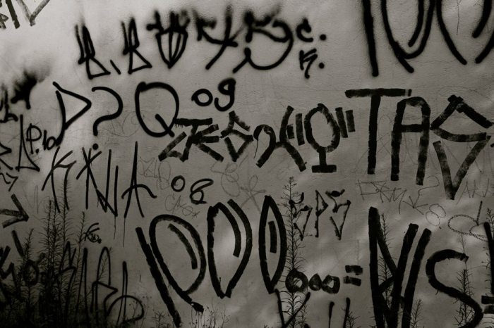 10649810_721110001316953_6764293244117775503_n