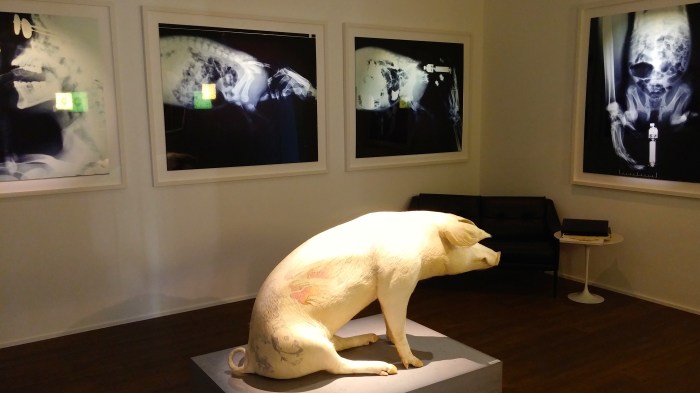 Maison Particulière, ta.bu, Wim Delvoye