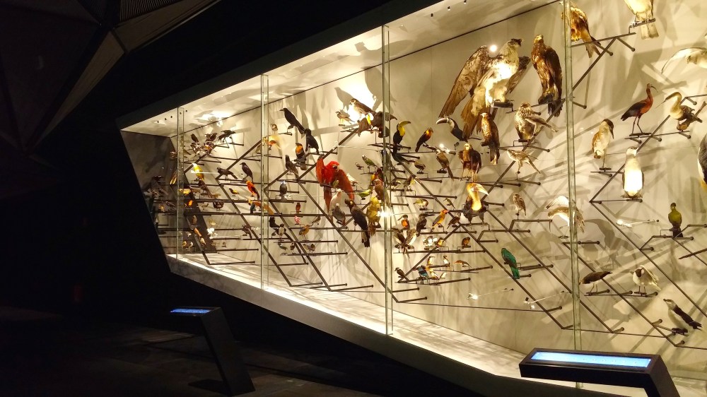 Musée des Confluences Lyon