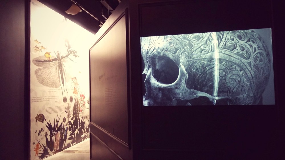 Musée des Confluences Lyon