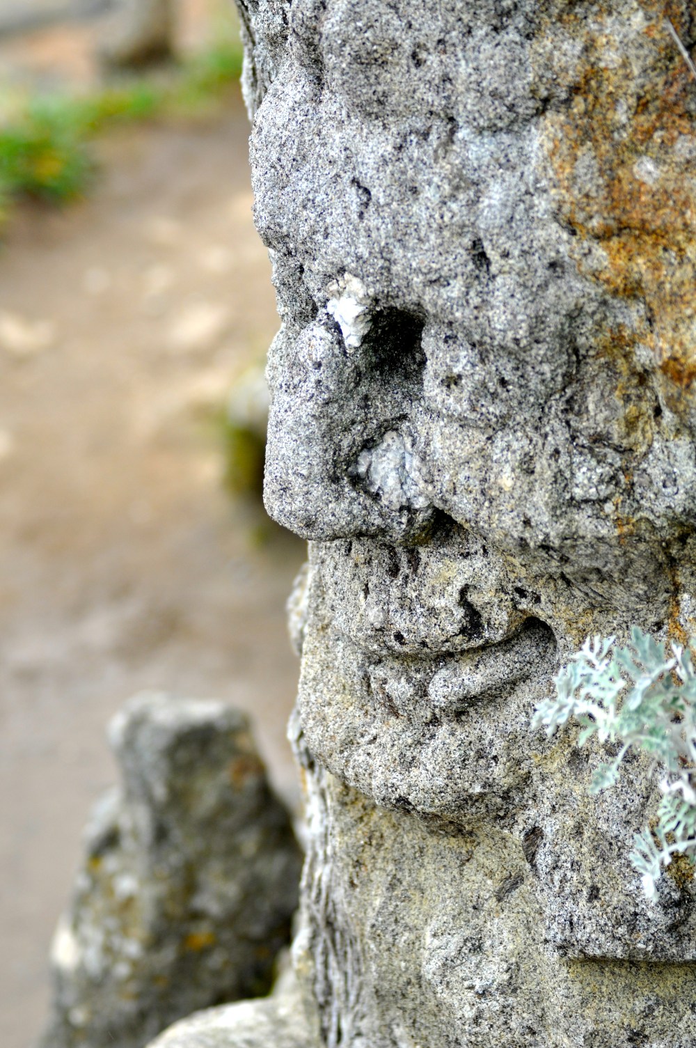 rochers_sculptes_de_rotheneuf_10