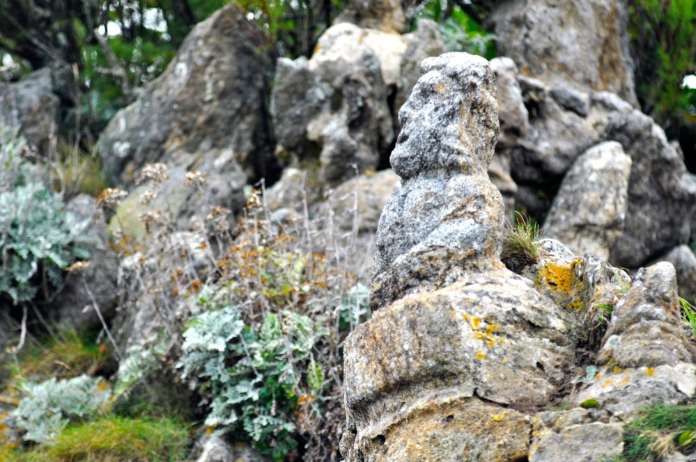 rochers_sculptes_de_rotheneuf_13