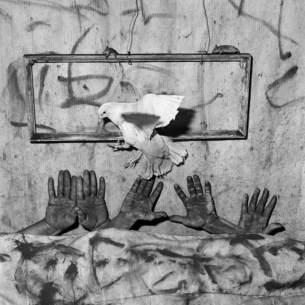 Roger_Ballen_6